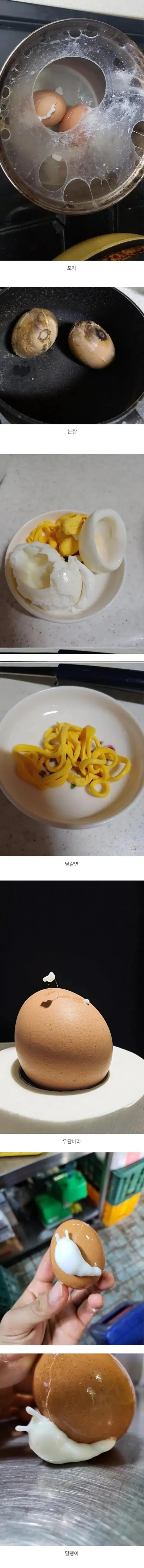 망한 삶은달걀 대회