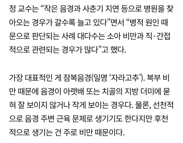 소아비만이 남아에게 치명적인 이유