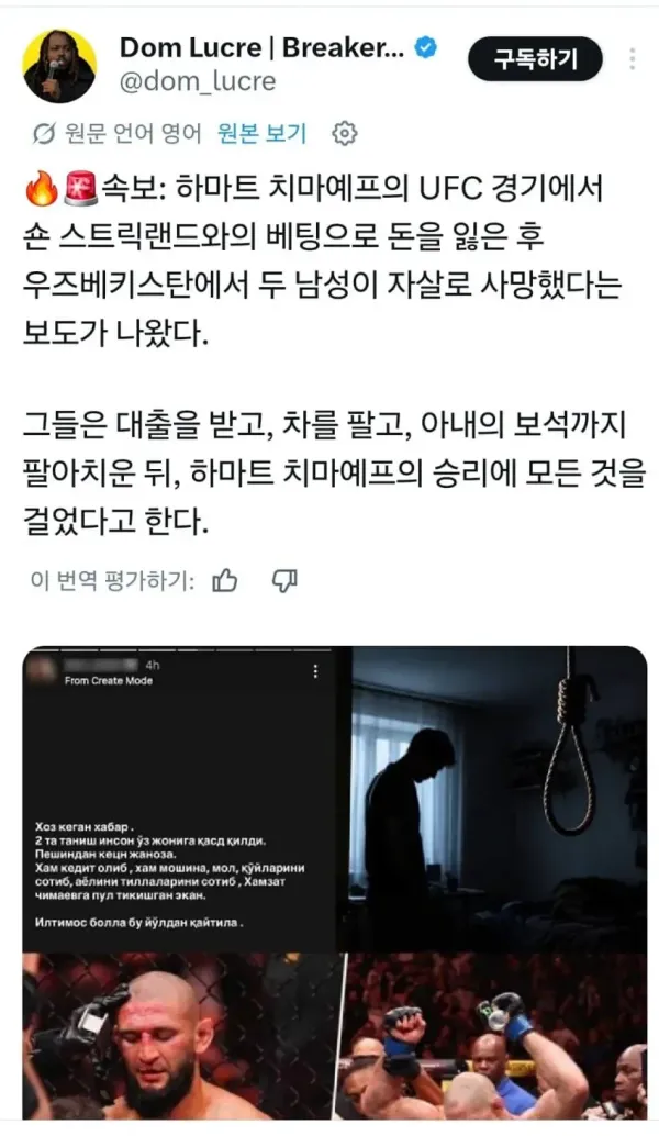 UFC 치마예프 승에 걸었다가 전재산 잃은 우즈벡 남자