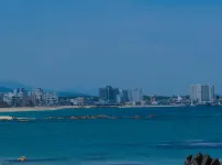 바다 바다 바다!