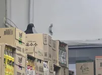 실시간 대치중
