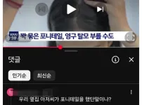 포니테일 하지마
