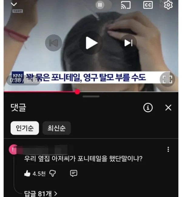 포니테일 하지마
