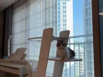 냐옹이