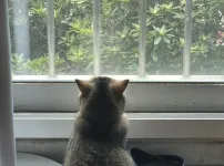 호기심 공주