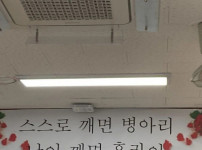 달걀 후라이 할때마다 떠오르는 명언
