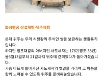 수원시의 조선 왕자 체험