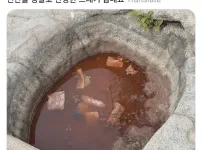 관악산 정상 쓰레기 근황