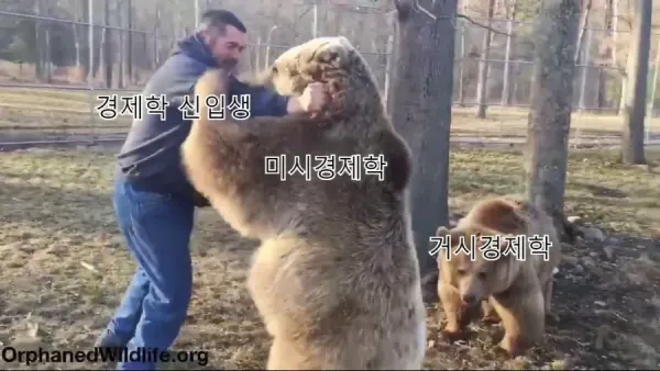 경제학과 신입생이 느끼는 강의 난이도