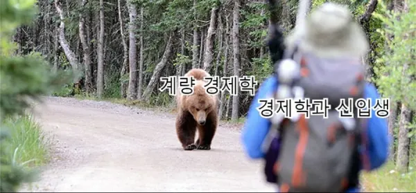 경제학과 신입생이 느끼는 강의 난이도