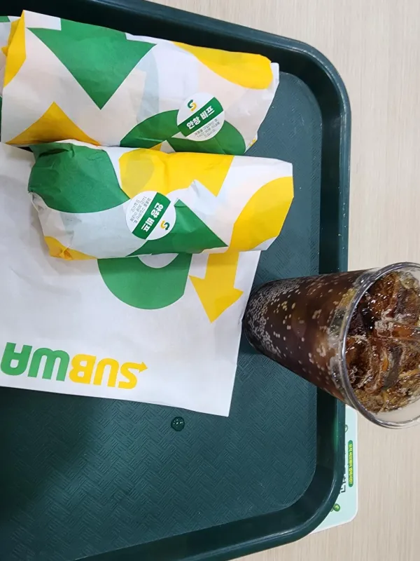 나왔다 내 섭웨이