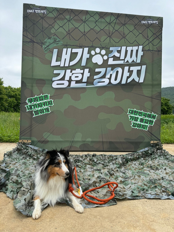 펫트레킹 참가