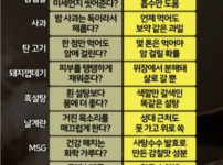 거짓상식