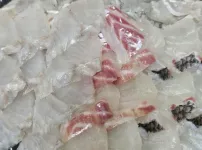 오리너굴회