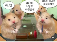 직장인들 점심 제육 통일의 비밀 ㅋㅋㅋㅋ.jpg
