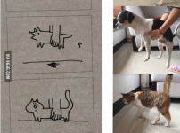 강아지와 고양이 안을 때 차이점