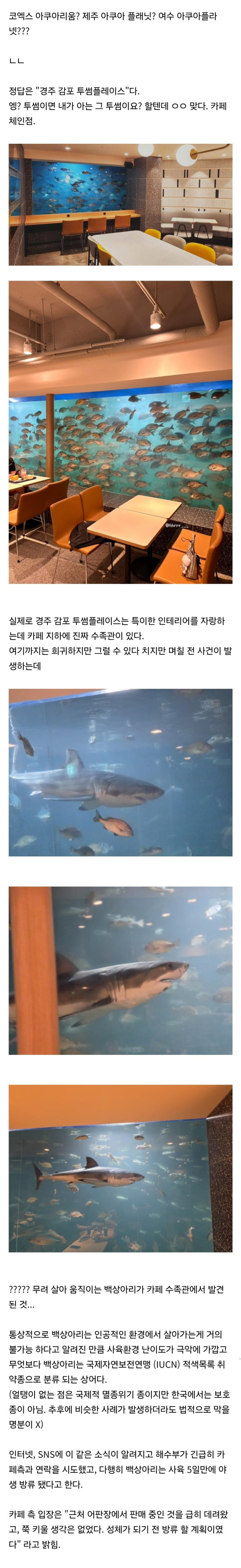 경주 투썸 근황 ㄷㄷ