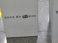 민주주의 꽃은 선거입니다