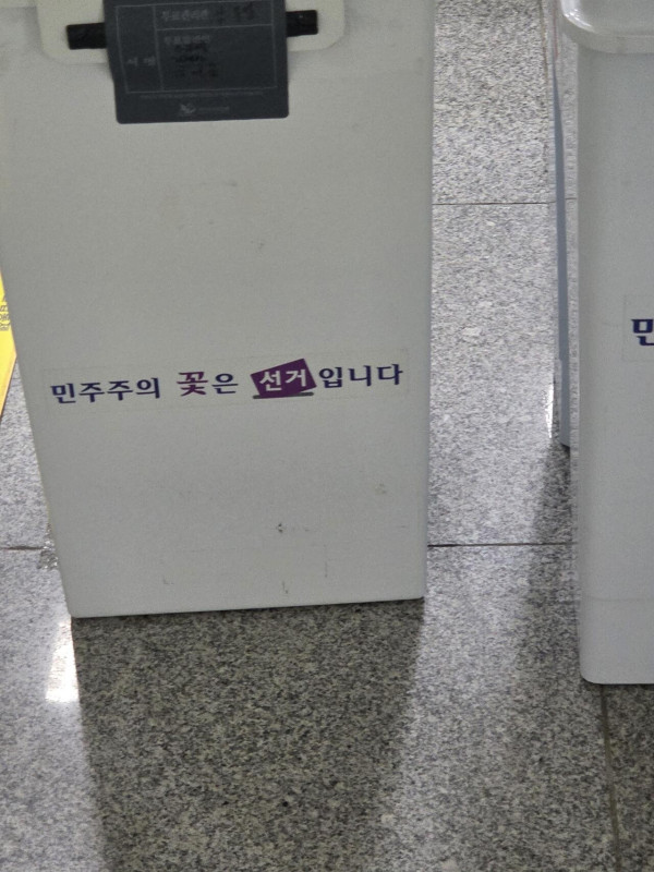 민주주의 꽃은 선거입니다