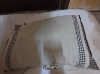일본의 흔한 1박 1만원 숙소 근황