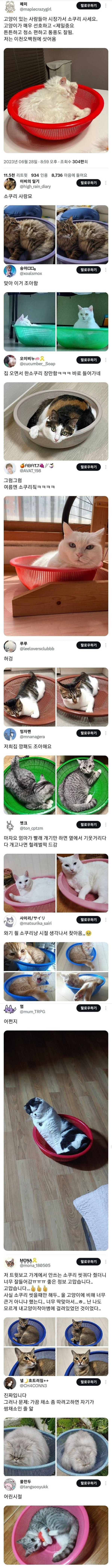 냥이들의 잇템