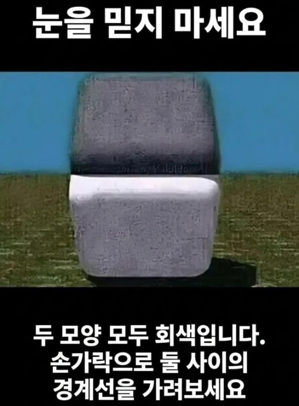 눈을 믿지마세요