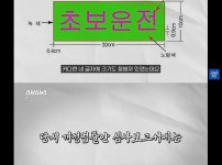 초보운전 의무 부착이 사라진 이유