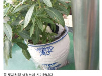 식물아래에 먼가있어요