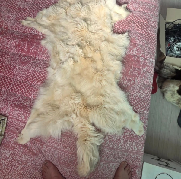쓰레드 논란