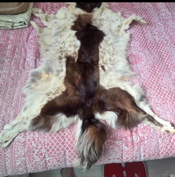 쓰레드 논란
