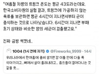 한국식 좀비사태의 예견된 결말