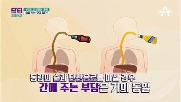 탄산음료 충격적인 사실