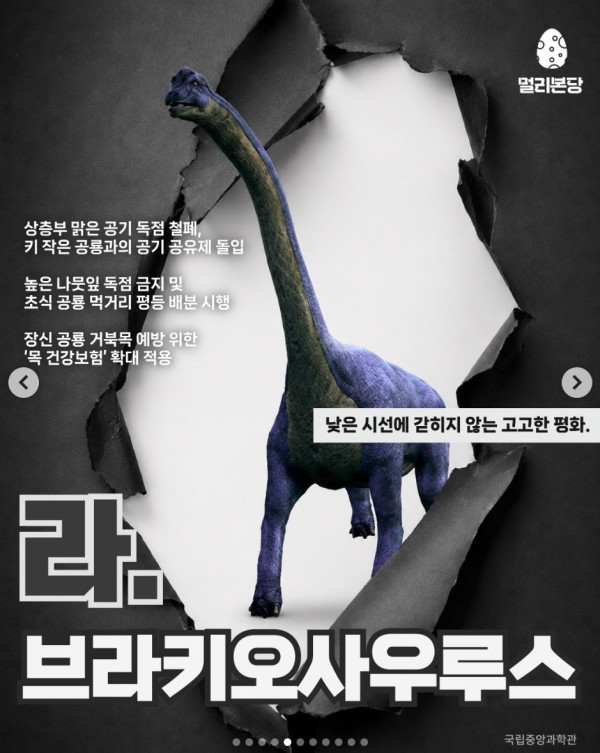 제 2 회 공통령 투표 안내