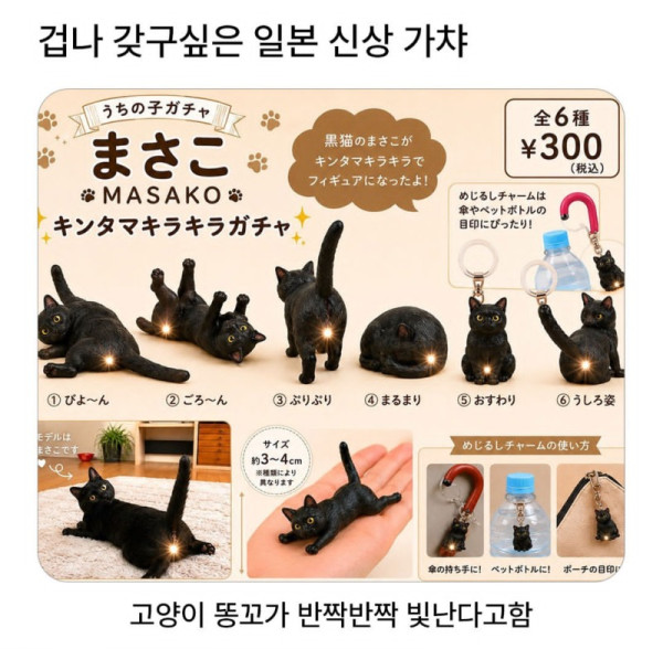 갖고싶은 일본 고앵이 가챠