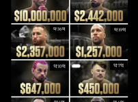 UFC) 백악관 파이터들 파이트머니 정리