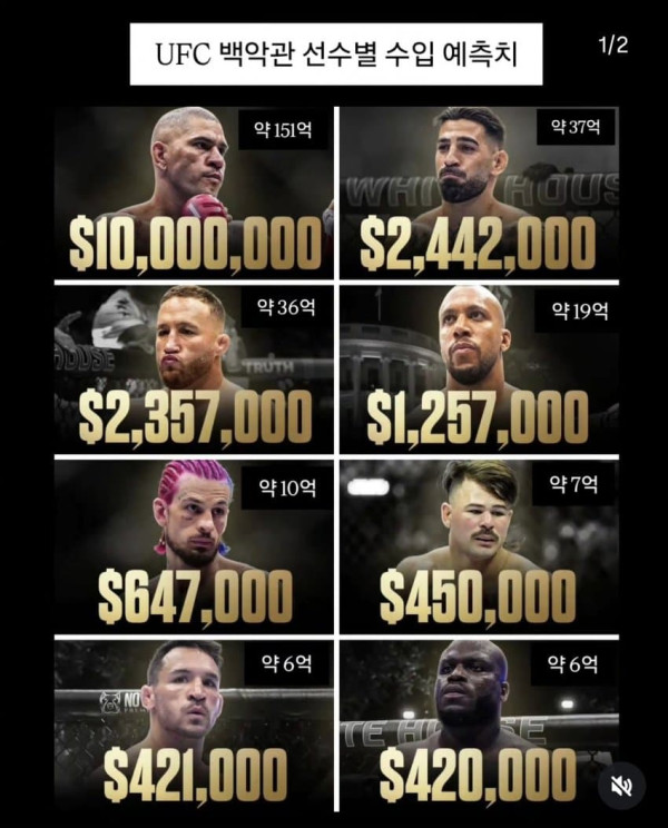 UFC) 백악관 파이터들 파이트머니 정리