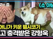 강형욱도 기겁한 동물확대..
