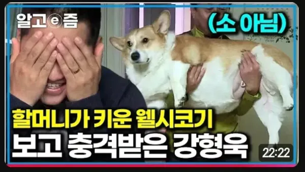 강형욱도 기겁한 동물확대..