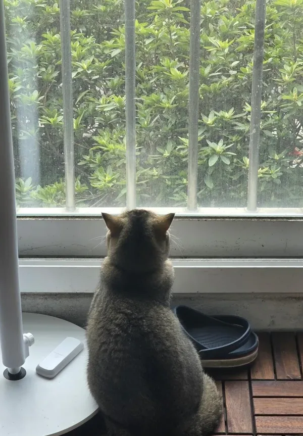 호기심 공주