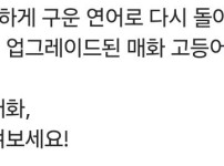 한솥도시락 프리미엄 매화 연어 재출시