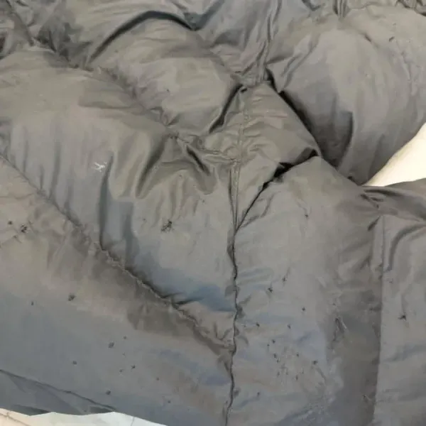 학부모가 담임한테 학폭 따졌다가 들은 어이없는 답변