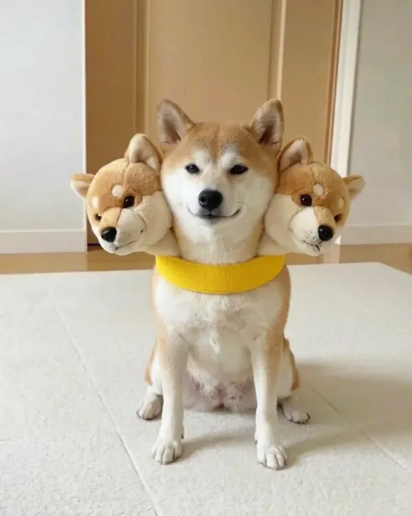 지옥에서 온
