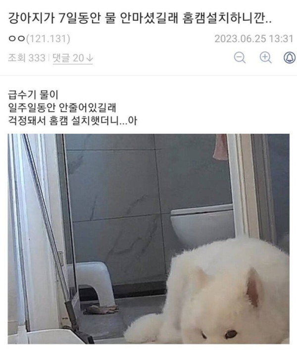 급수기 물이 줄어들지 않았던 이유