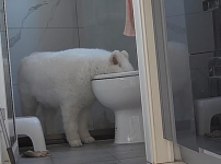 급수기 물이 줄어들지 않았던 이유