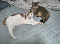 실제 크기
