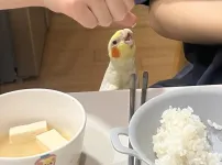 ??나도줘