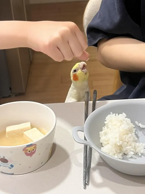 ??나도줘