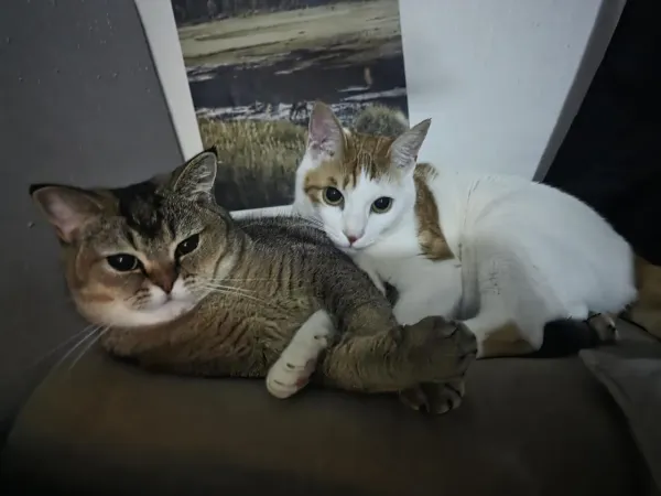 감시당하는중...