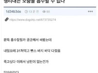 31살 여자가 문득 궁금했던거