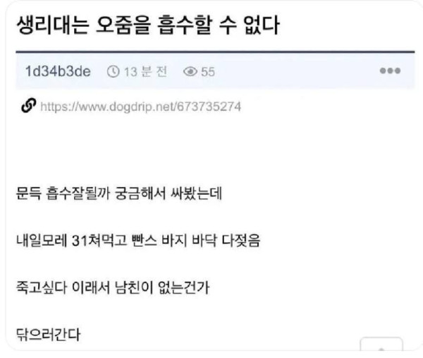31살 여자가 문득 궁금했던거
